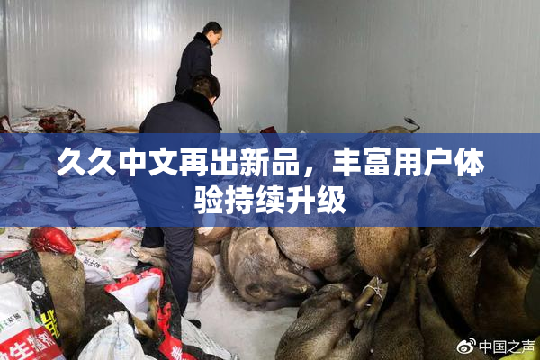 久久中文再出新品，丰富用户体验持续升级