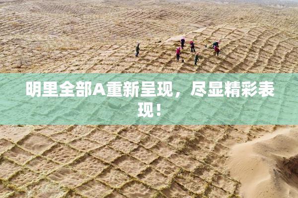 明里全部A重新呈现，尽显精彩表现！
