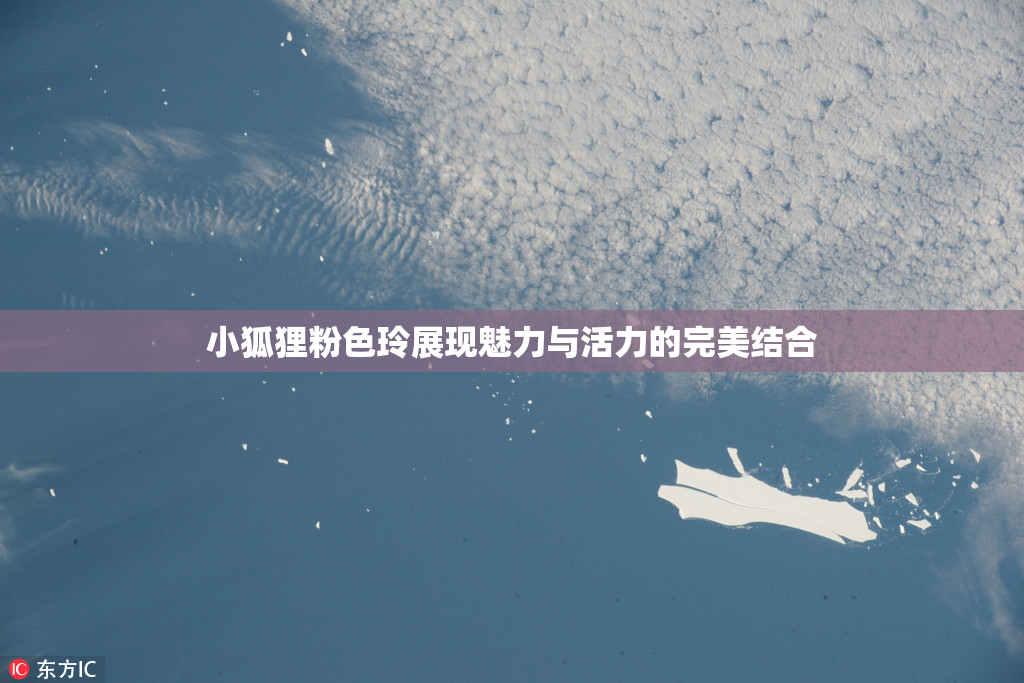 小狐狸粉色玲展现魅力与活力的完美结合