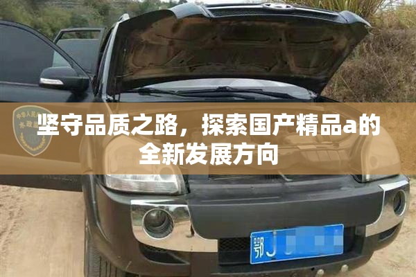 坚守品质之路，探索国产精品a的全新发展方向