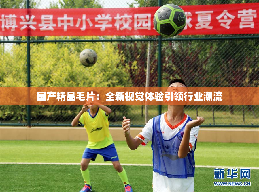 国产精品毛片：全新视觉体验引领行业潮流
