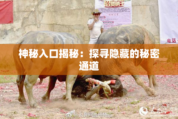神秘入口揭秘：探寻隐藏的秘密通道