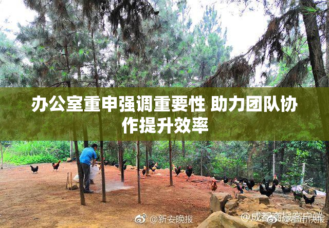 办公室重申强调重要性 助力团队协作提升效率