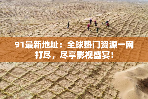 91最新地址：全球热门资源一网打尽，尽享影视盛宴！