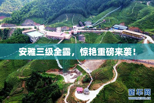 安雅三级全露，惊艳重磅来袭！