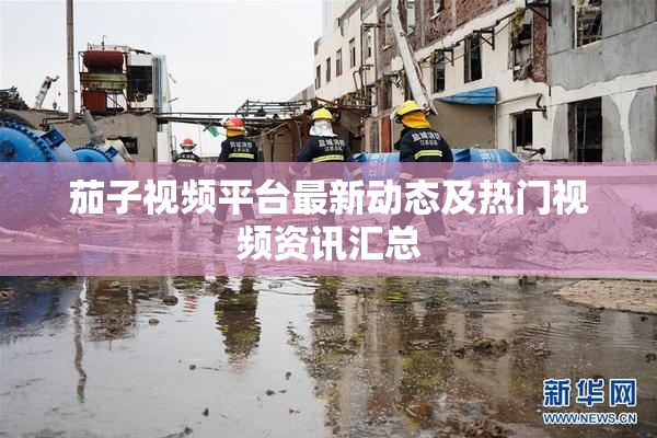 茄子视频平台最新动态及热门视频资讯汇总