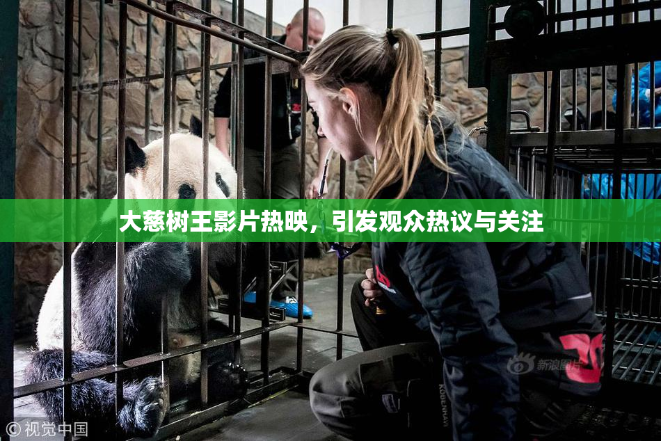 大慈树王影片热映，引发观众热议与关注