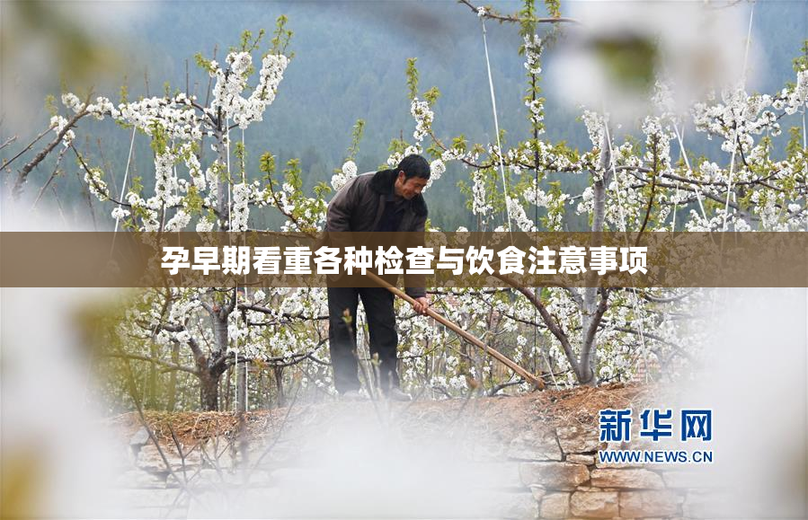 孕早期看重各种检查与饮食注意事项