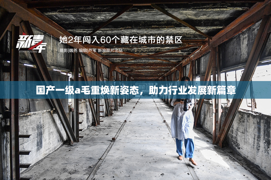 国产一级a毛重焕新姿态，助力行业发展新篇章