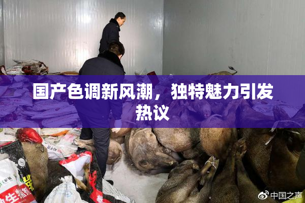 国产色调新风潮，独特魅力引发热议