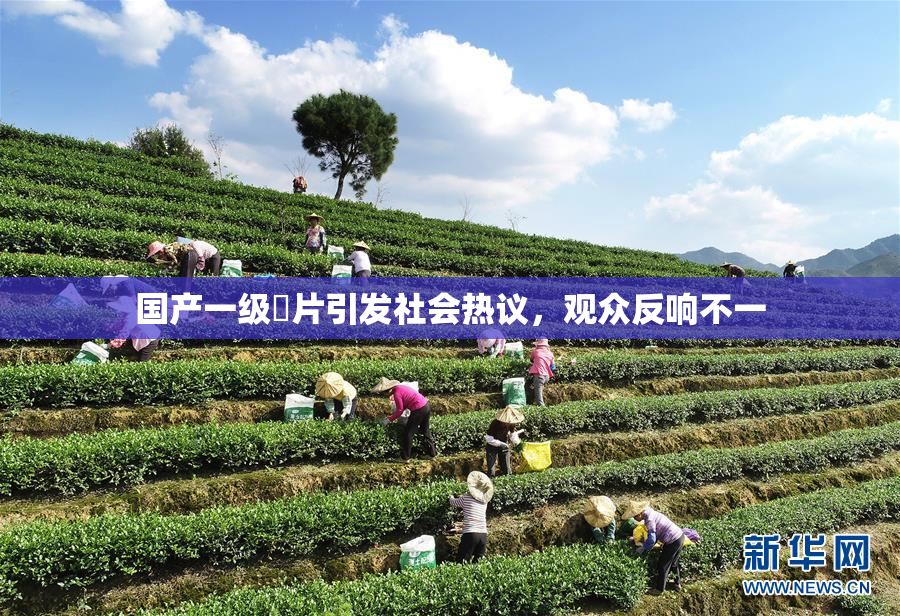 国产一级婬片引发社会热议，观众反响不一