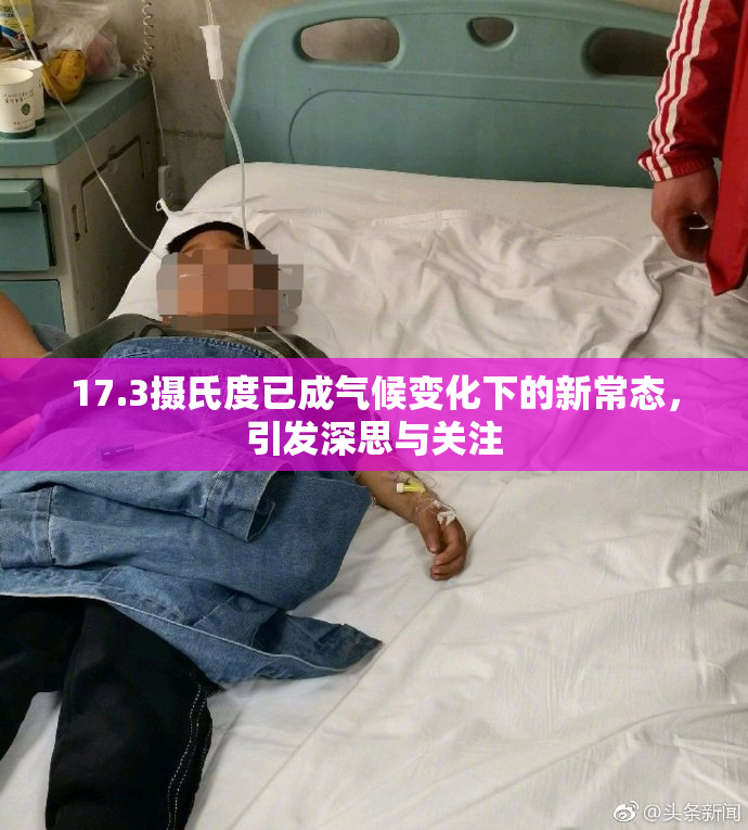 17.3摄氏度已成气候变化下的新常态，引发深思与关注