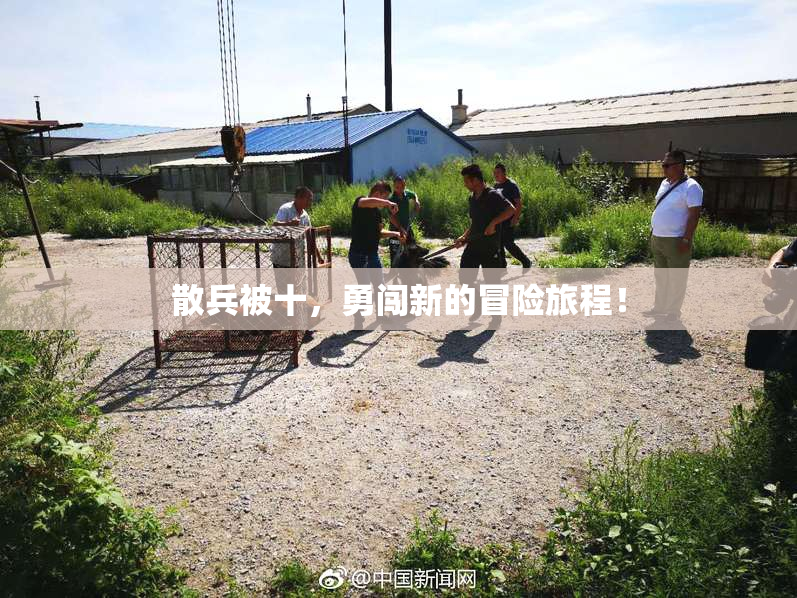 散兵被十，勇闯新的冒险旅程！