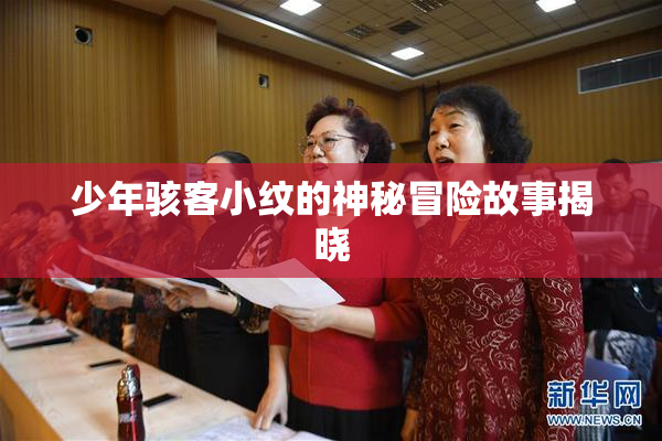少年骇客小纹的神秘冒险故事揭晓