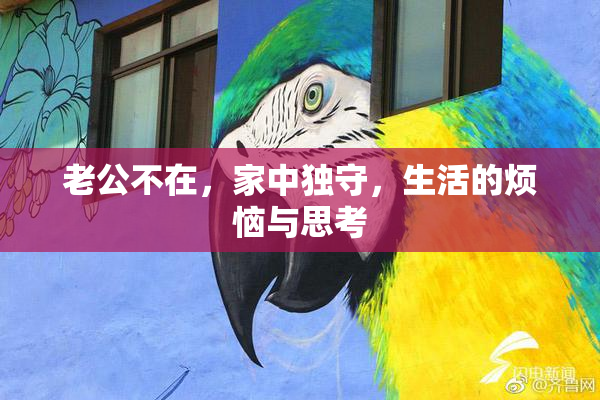老公不在，家中独守，生活的烦恼与思考
