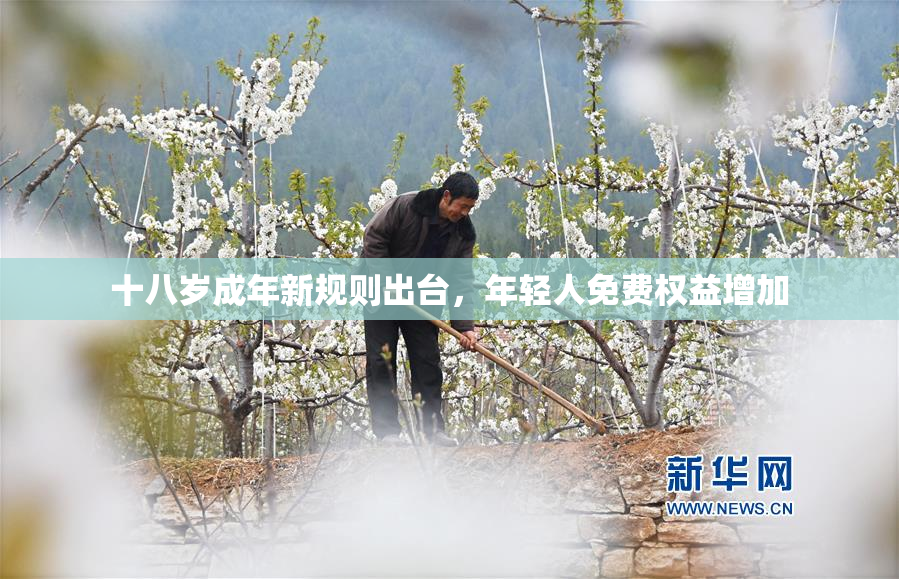 十八岁成年新规则出台，年轻人免费权益增加