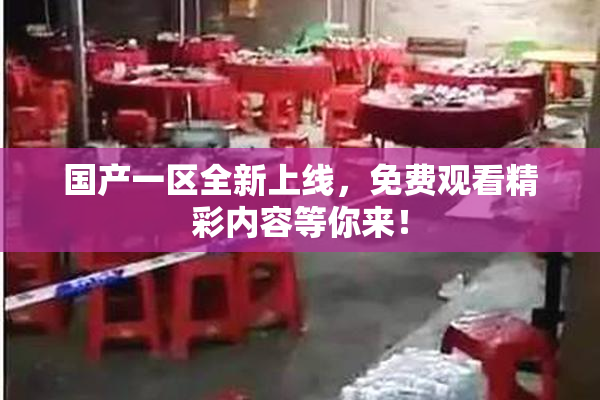 国产一区全新上线，免费观看精彩内容等你来！