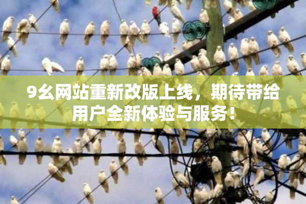 9幺网站重新改版上线，期待带给用户全新体验与服务！