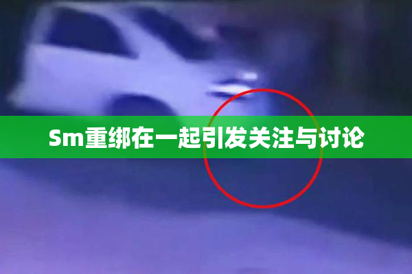 Sm重绑在一起引发关注与讨论