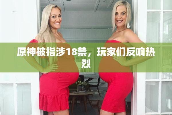 原神被指涉18禁，玩家们反响热烈