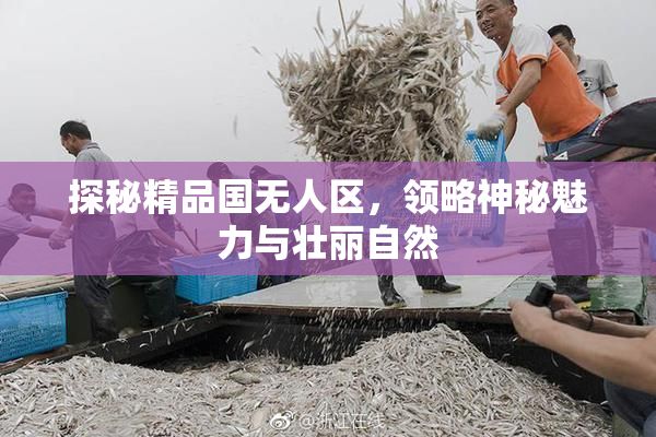 探秘精品国无人区，领略神秘魅力与壮丽自然