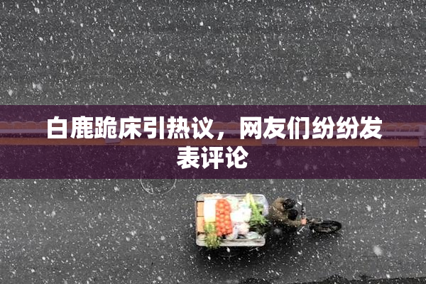 白鹿跪床引热议，网友们纷纷发表评论