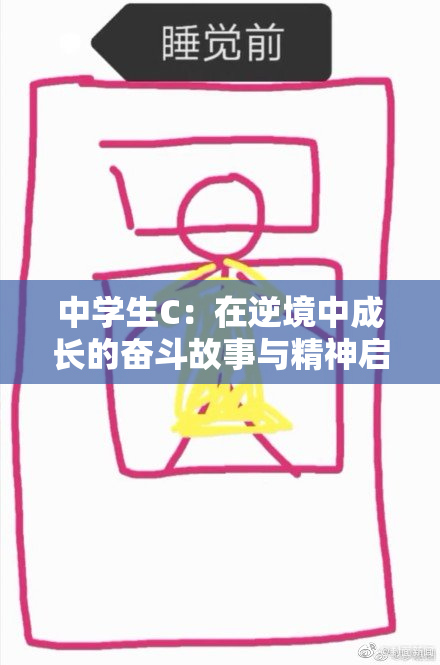 中学生C：在逆境中成长的奋斗故事与精神启示
