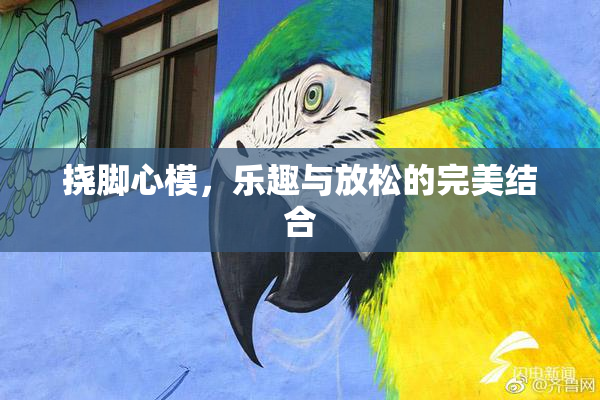 挠脚心模，乐趣与放松的完美结合