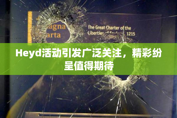 Heyd活动引发广泛关注，精彩纷呈值得期待