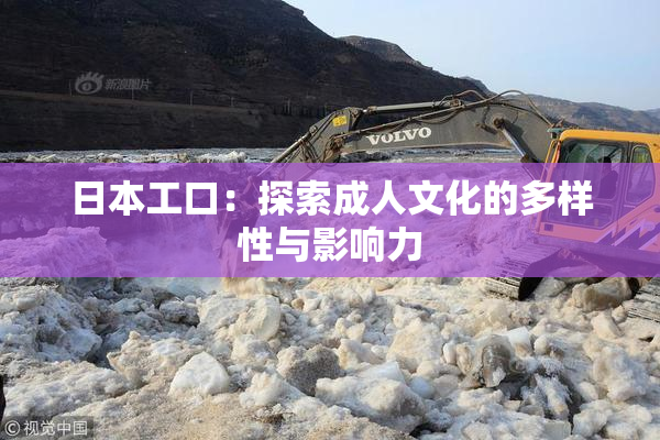 日本工口：探索成人文化的多样性与影响力