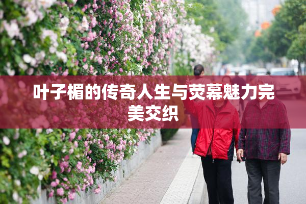 叶子楣的传奇人生与荧幕魅力完美交织