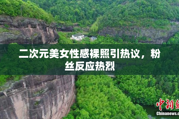 二次元美女性感裸照引热议，粉丝反应热烈
