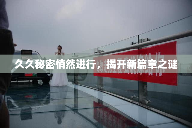 久久秘密悄然进行，揭开新篇章之谜