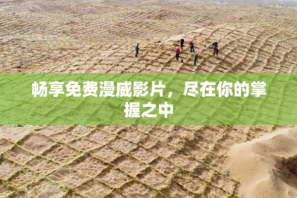 畅享免费漫威影片，尽在你的掌握之中