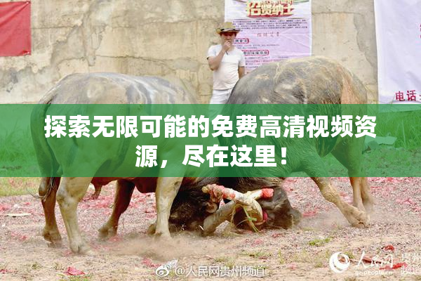 探索无限可能的免费高清视频资源，尽在这里！