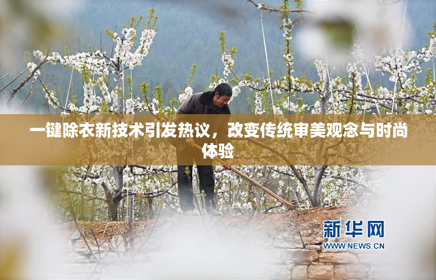 一键除衣新技术引发热议，改变传统审美观念与时尚体验