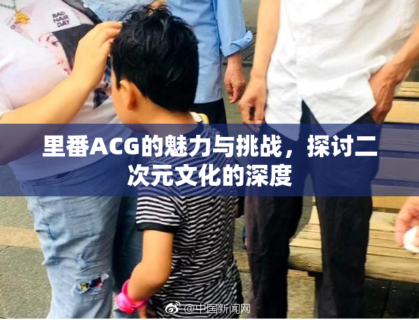 里番ACG的魅力与挑战，探讨二次元文化的深度