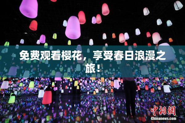 免费观看樱花，享受春日浪漫之旅！