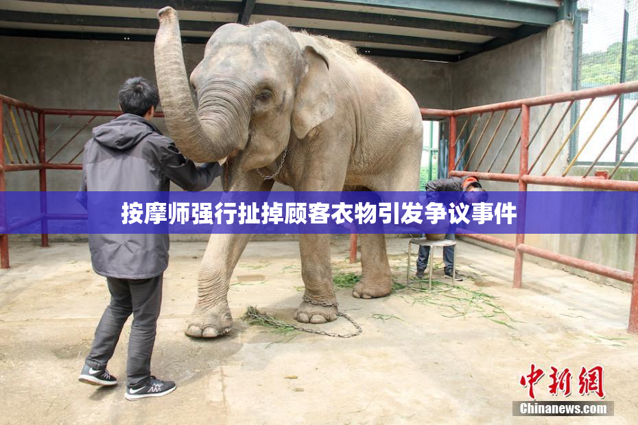 按摩师强行扯掉顾客衣物引发争议事件