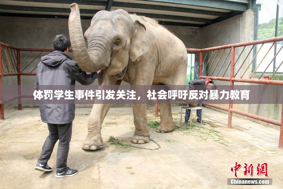 体罚学生事件引发关注，社会呼吁反对暴力教育