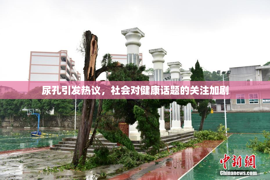 尿孔引发热议，社会对健康话题的关注加剧