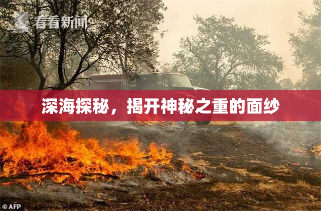 深海探秘，揭开神秘之重的面纱