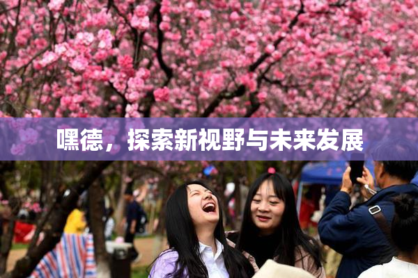 嘿德，探索新视野与未来发展