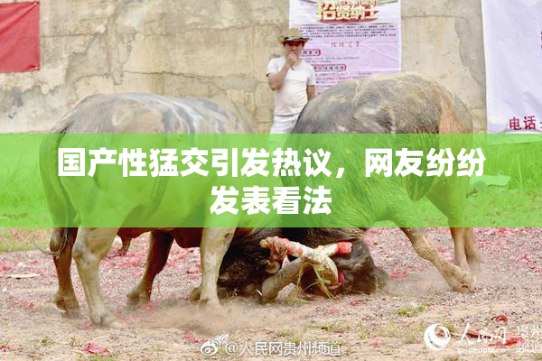 国产性猛交引发热议，网友纷纷发表看法