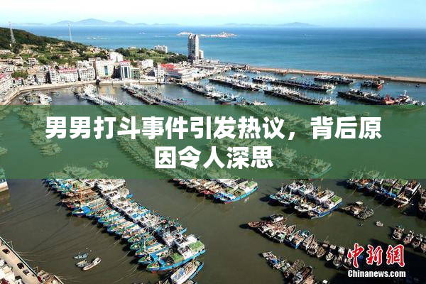 男男打斗事件引发热议，背后原因令人深思