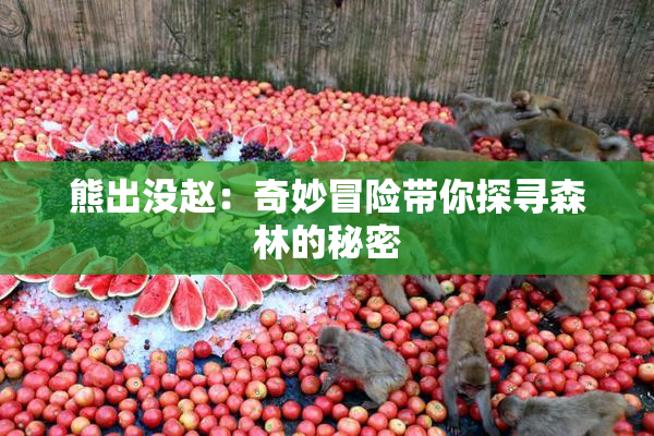 熊出没赵：奇妙冒险带你探寻森林的秘密