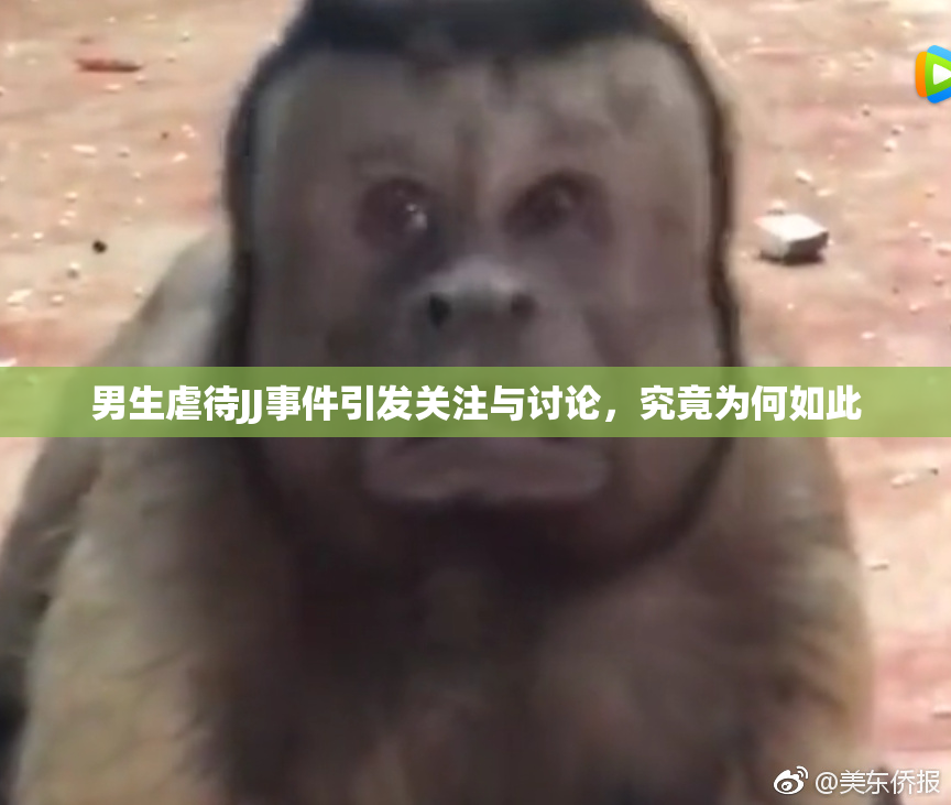 男生虐待JJ事件引发关注与讨论，究竟为何如此