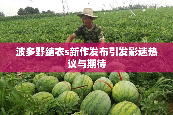 波多野结衣s新作发布引发影迷热议与期待
