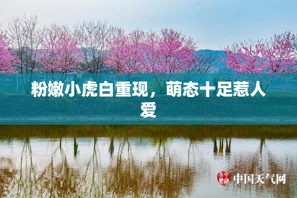 粉嫩小虎白重现，萌态十足惹人爱