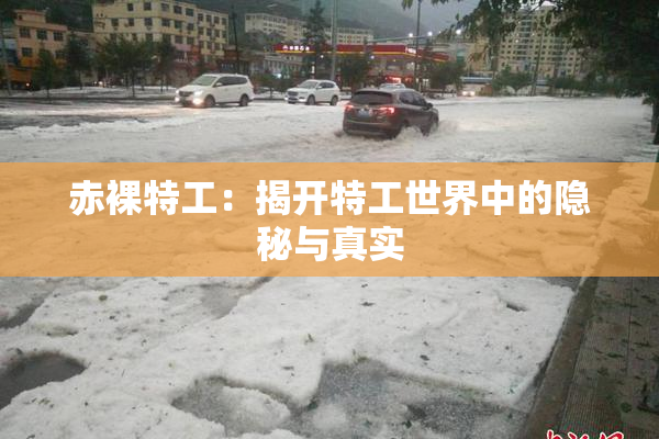 赤裸特工：揭开特工世界中的隐秘与真实
